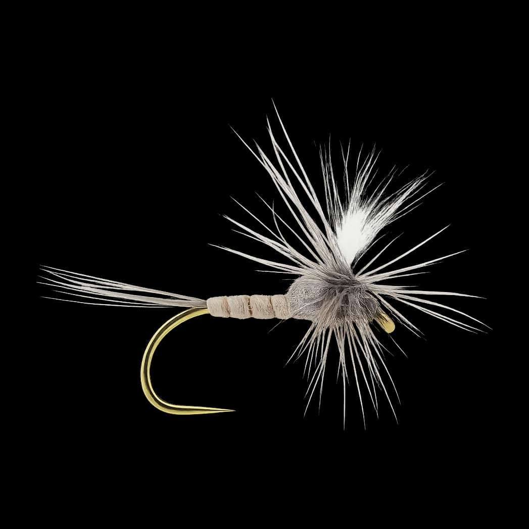 Gray Drake Spinner