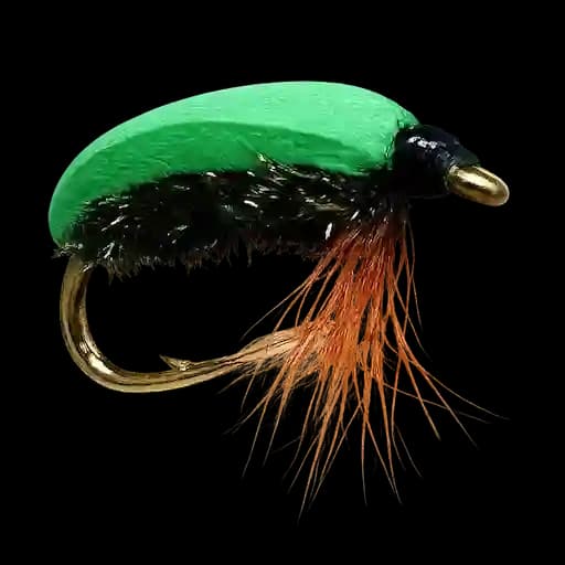 Green Beetle