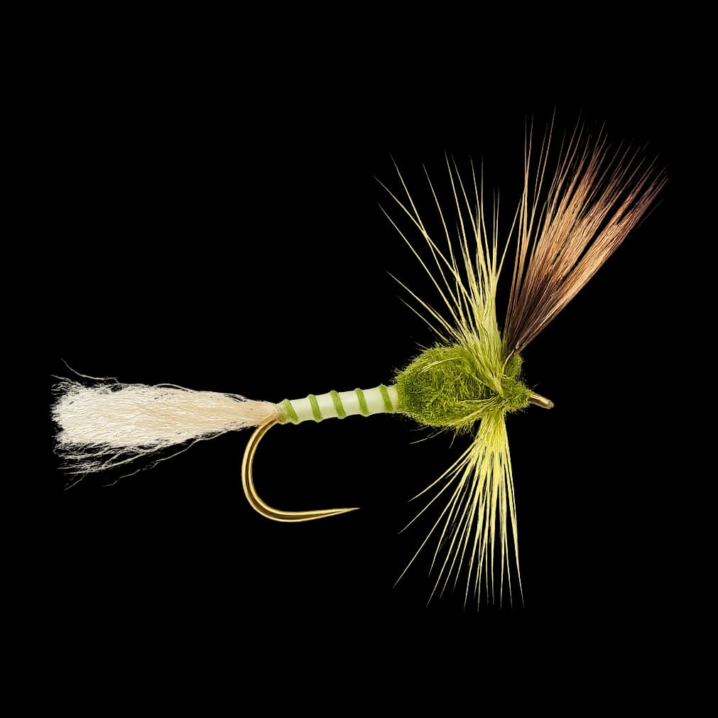 Green Drake Cripple