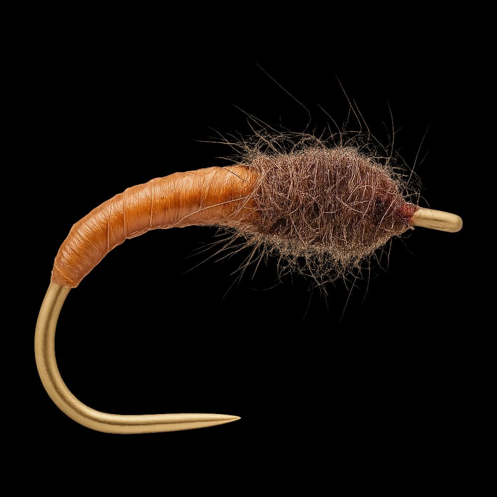 Horn Caddis