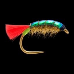 Hot Tag Flashback Mud Shrimp