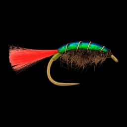 Hot Tag Spectra Shrimp