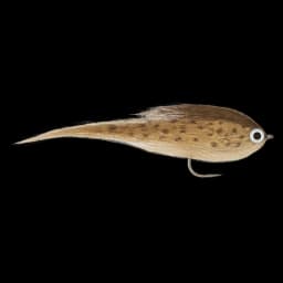 Brown Trout Baitfish