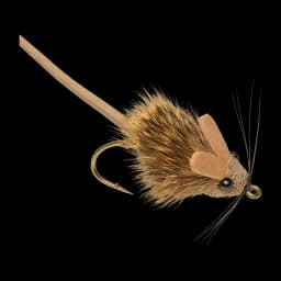 Mouse / Rat Wake Fly