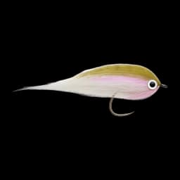 Rainbow Trout Streamer
