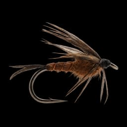 Isonychia Nymph