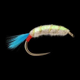 Jaxon's Hopper