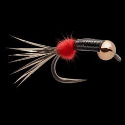 Krókurinn Nymph
