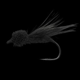 Letort Cricket