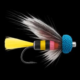 Liquorice Allsort