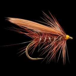 Little Red Sedge