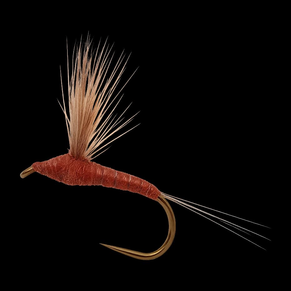 Mahogany Comparadun