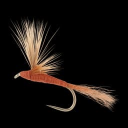 Mahogany Sparkle Dun