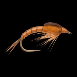 March Brown Nymph