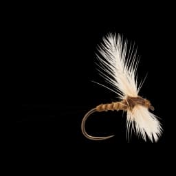 March Brown Spinner
