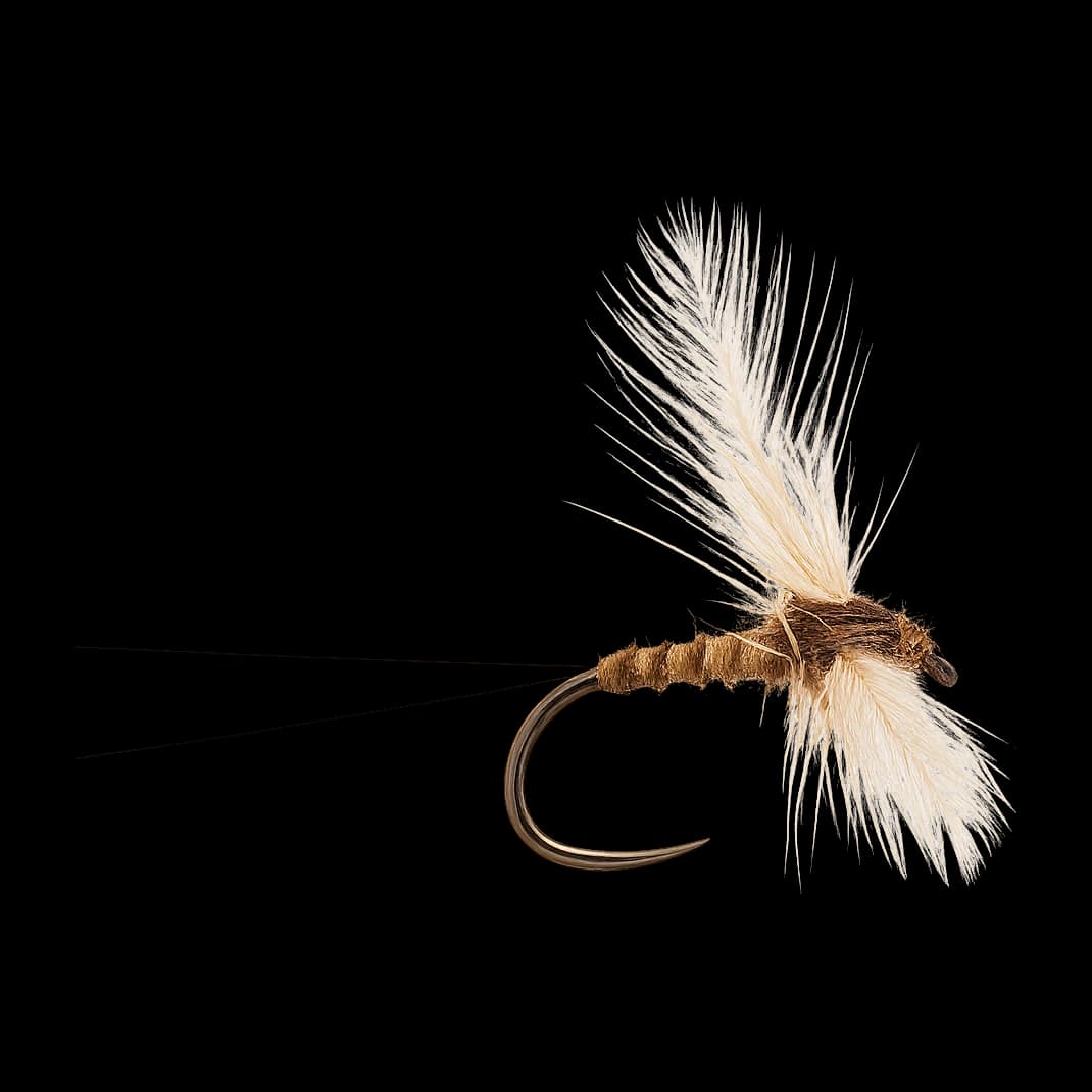 March Brown Spinner