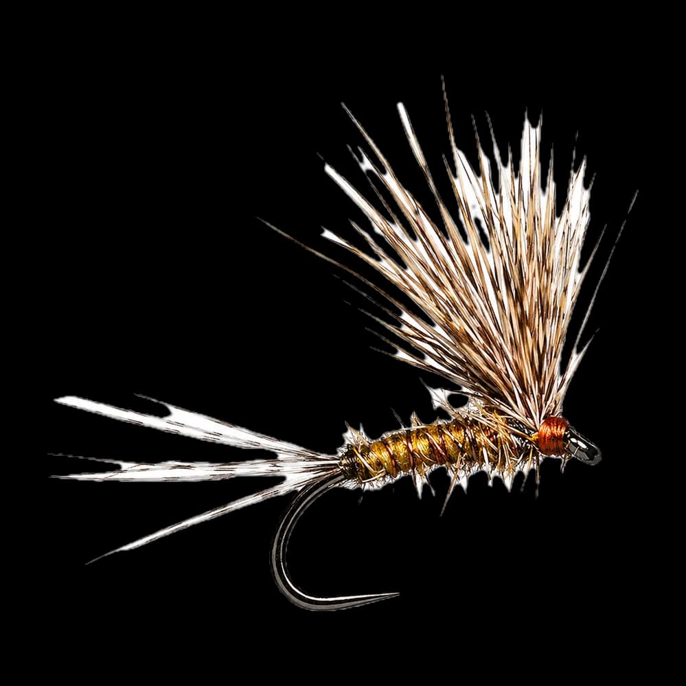 March Brown