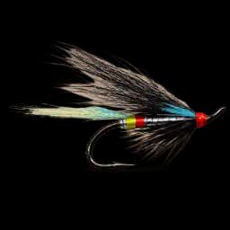 Night Hawk