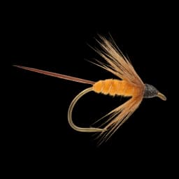 October Caddis Pupa