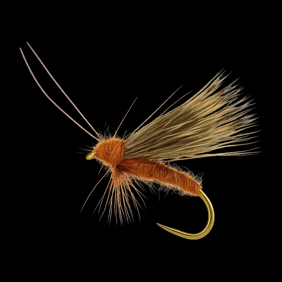 October Caddis