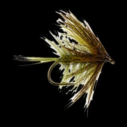 Olive Bumble