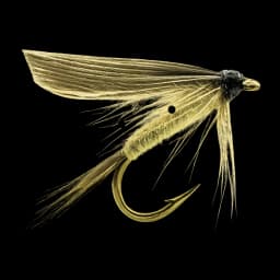 Ornans Fly