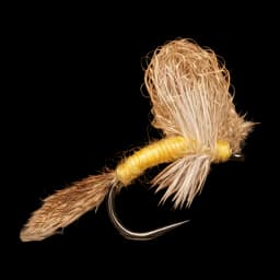 Pale Yellow Emerger