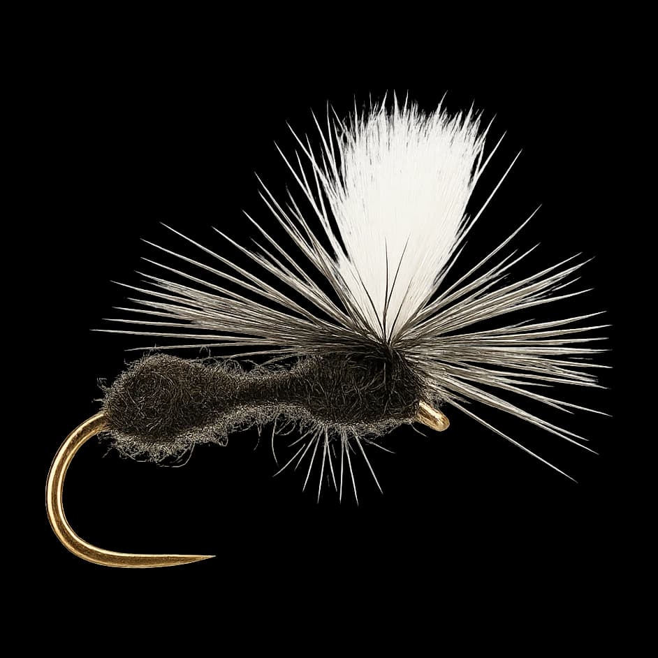 Parachute Ant