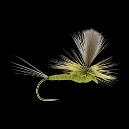 Parachute Green Drake