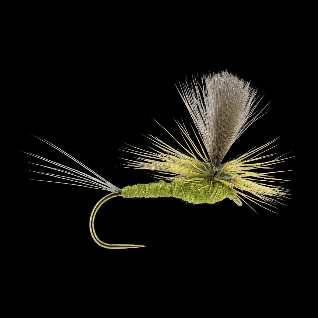 Parachute Green Drake