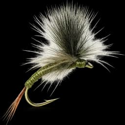 Parachute Olive