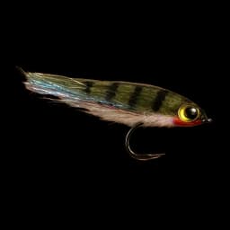 Perch Fry