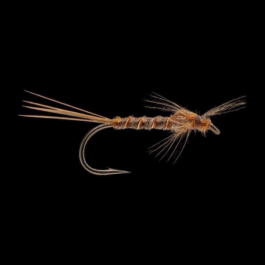 Pheasant Tail Spinner