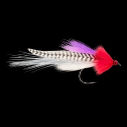 Flash Fly