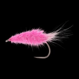 Pink Glitter Shrimp