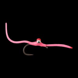 Pink Worm