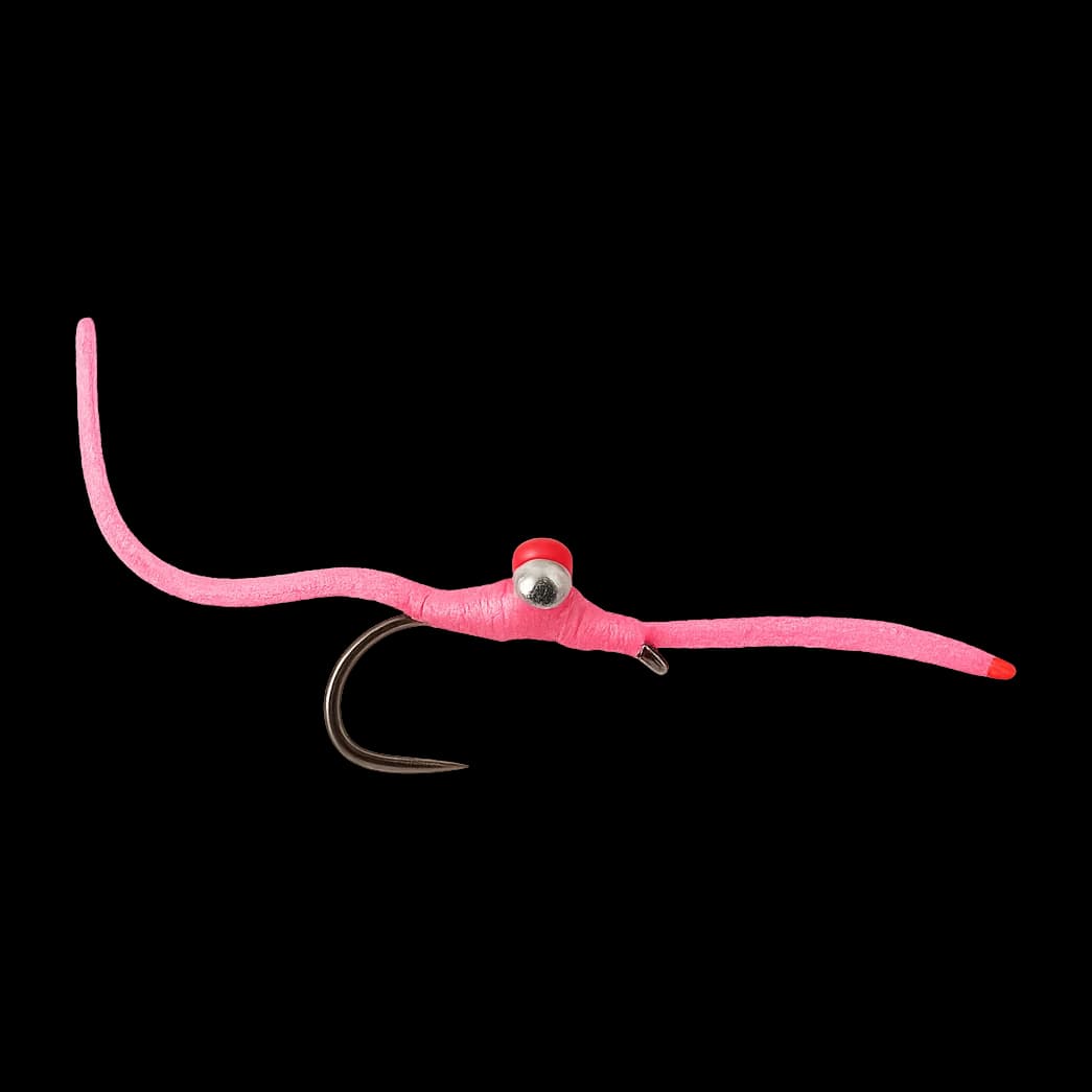 Pink Worm