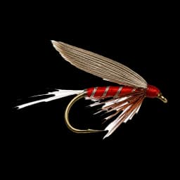 Red Spinner