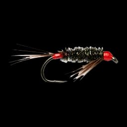 Red-tagged Diawl Bach