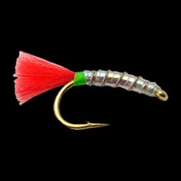 Romy's Buzzer