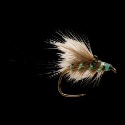 Runar's CDC Shrimp
