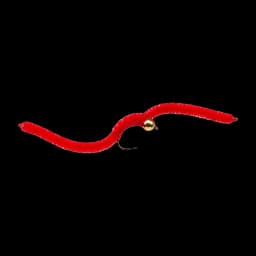 San Juan Worm
