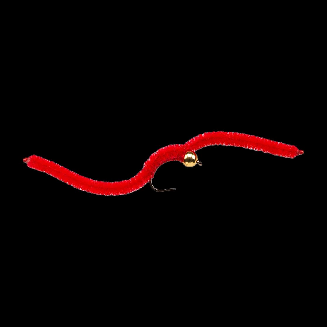 San Juan Worm