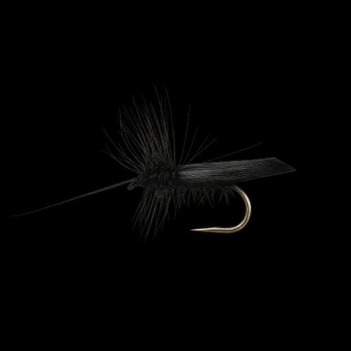 Sedge