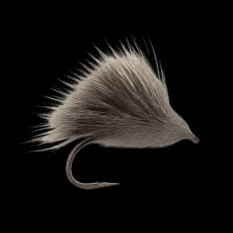 Sedgehog