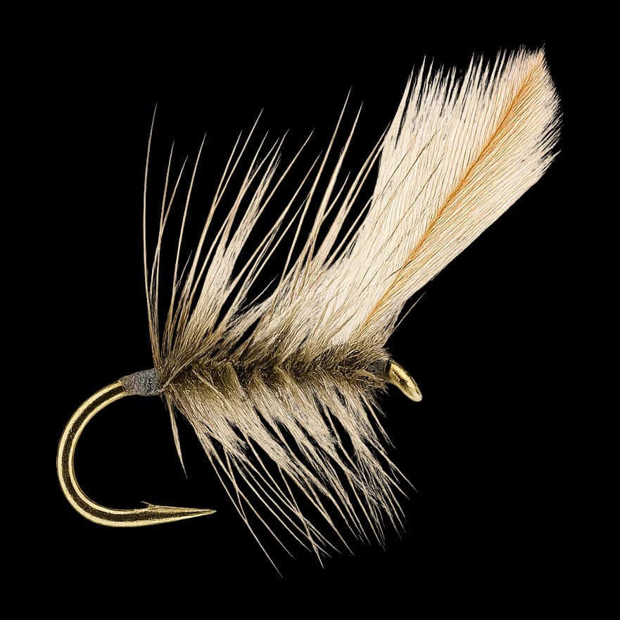 Shadow Mayfly