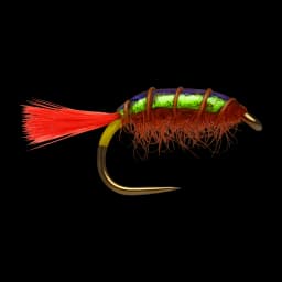 Shrimply Red