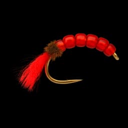 Silica Shrimp