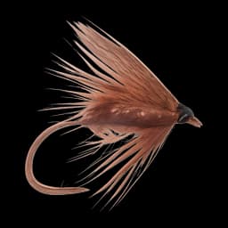 Silver Dabbler