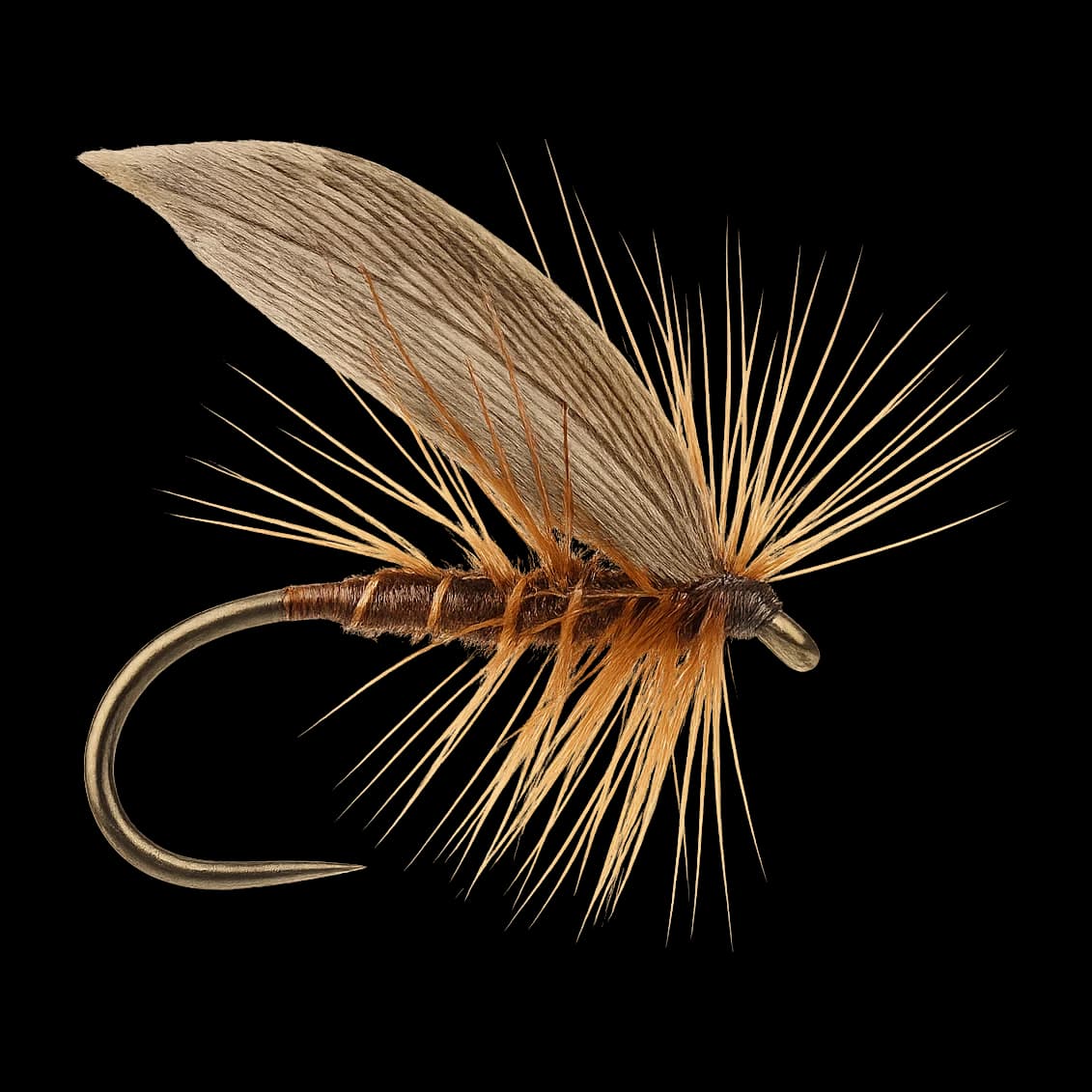 Silverhorn Sedge